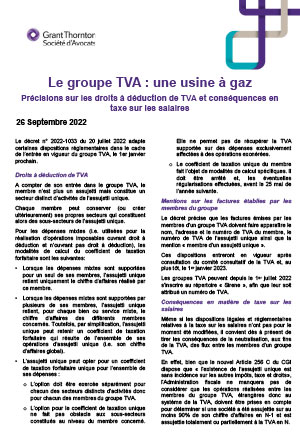 Le groupe TVA : une usine à gaz