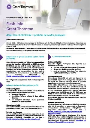 Aides Gaz et Electricité : Synthèse des aides publiques